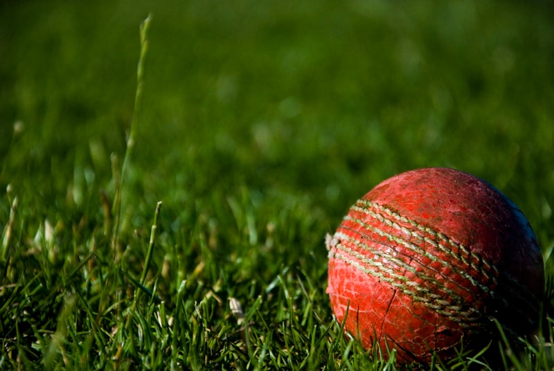 uploaded image cricket national game of which country 1708557499120