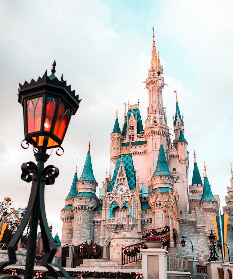 uploaded image disney world in which country 1708557716666