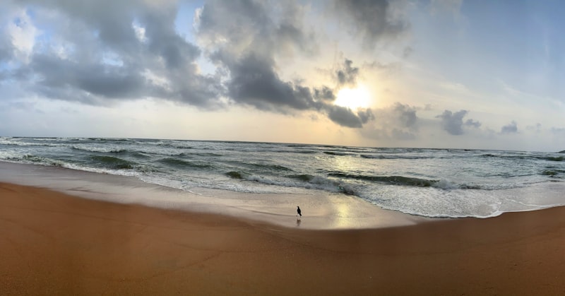 uploaded image goa is located in which country 1708558092536