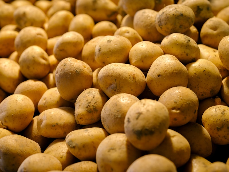 potato originated from which country